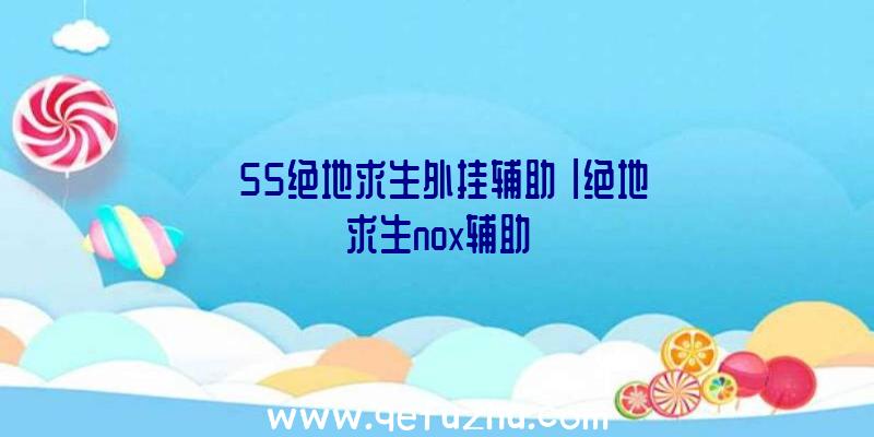 「55绝地求生外挂辅助」|绝地求生nox辅助